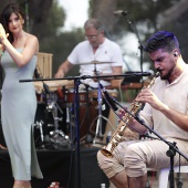 Concerts del Pinar