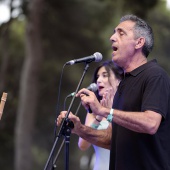 Concerts del Pinar