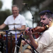 Concerts del Pinar