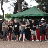 Concerts del Pinar