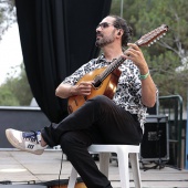 Concerts del Pinar