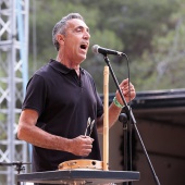 Concerts del Pinar