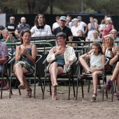 Concerts del Pinar
