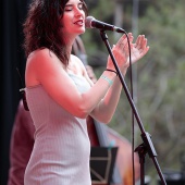 Concerts del Pinar