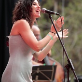 Concerts del Pinar