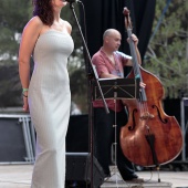Concerts del Pinar