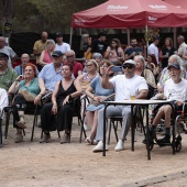 Concerts del Pinar