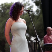 Concerts del Pinar