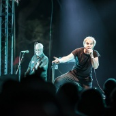 Concerts del Pinar