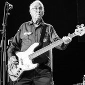 Concerts del Pinar