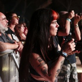 Concerts del Pinar