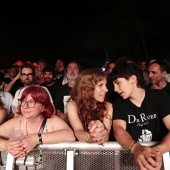 Concerts del Pinar