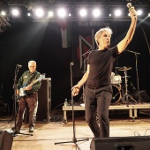 Concerts del Pinar