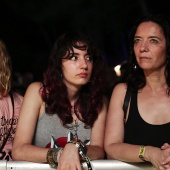 Concerts del Pinar