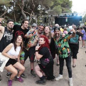 Concerts del Pinar