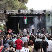 Concerts del Pinar