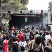 Concerts del Pinar