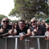 Concerts del Pinar