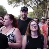 Concerts del Pinar