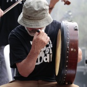 Concerts del Pinar