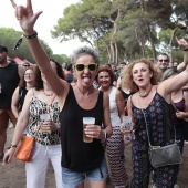 Concerts del Pinar