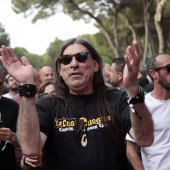 Concerts del Pinar