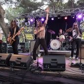 Concerts del Pinar