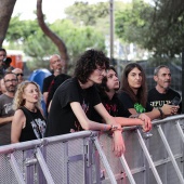 Concerts del Pinar