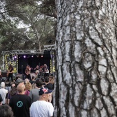 Concerts del Pinar