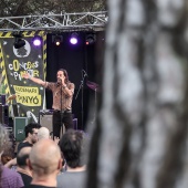 Concerts del Pinar