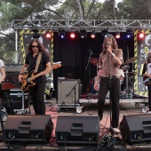 Concerts del Pinar