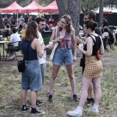 Concerts del Pinar