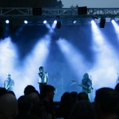 Concerts del Pinar