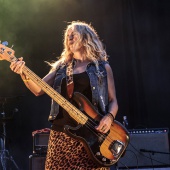 Concerts del Pinar