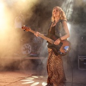 Concerts del Pinar