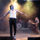 Concerts del Pinar
