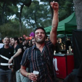 Concerts del Pinar