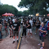 Concerts del Pinar