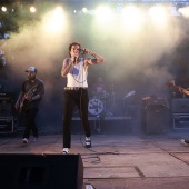 Concerts del Pinar