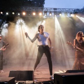 Concerts del Pinar
