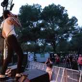 Concerts del Pinar