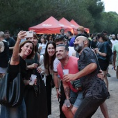 Concerts del Pinar