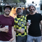 Concerts del Pinar