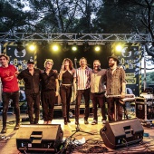 Concerts del Pinar