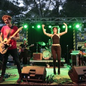 Concerts del Pinar