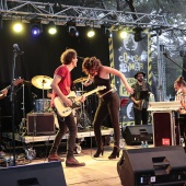 Concerts del Pinar