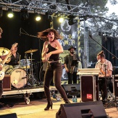 Concerts del Pinar