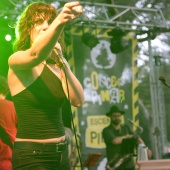 Concerts del Pinar