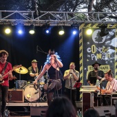 Concerts del Pinar