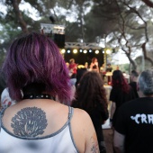 Concerts del Pinar